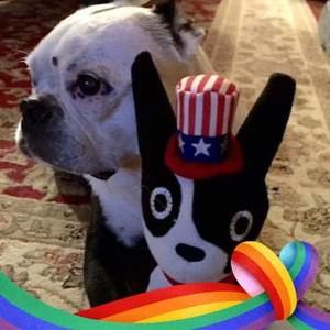 Meet your Posher, Lucy